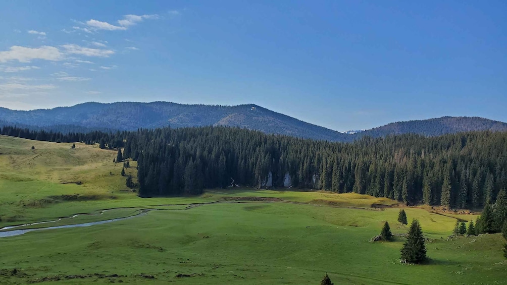 Picture 6 for Activity From Cluj-Napoca: Carpathian Mountains Guided Scenic Hike