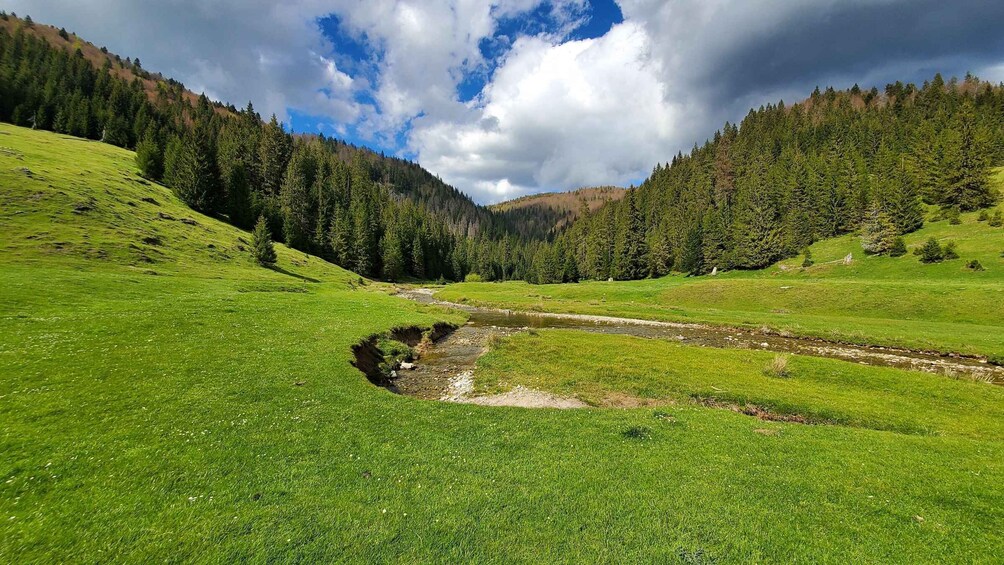 Picture 2 for Activity From Cluj-Napoca: Carpathian Mountains Guided Scenic Hike