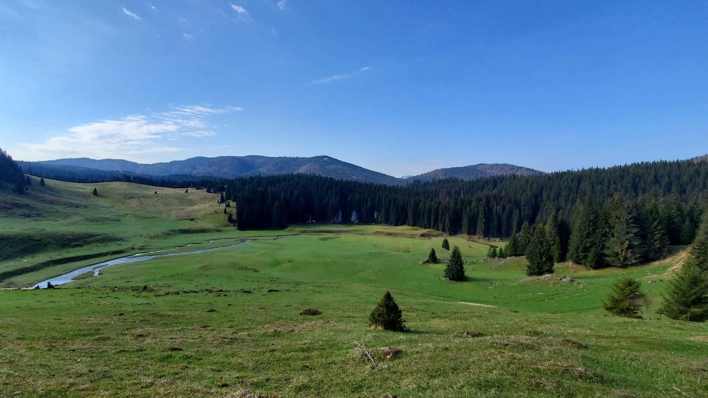 Picture 5 for Activity From Cluj-Napoca: Carpathian Mountains Guided Scenic Hike