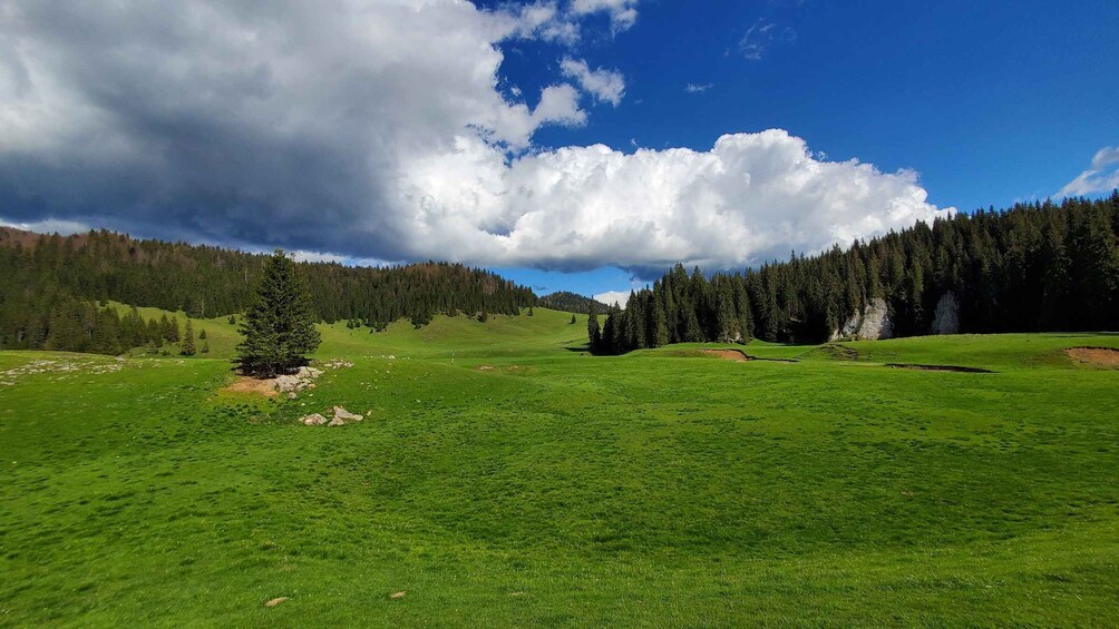 Picture 7 for Activity From Cluj-Napoca: Carpathian Mountains Guided Scenic Hike
