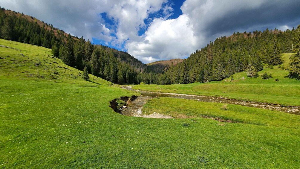 Picture 2 for Activity From Cluj-Napoca: Carpathian Mountains Guided Scenic Hike