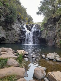 Levada do Alecrim