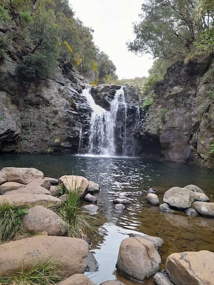 Levada do Alecrim