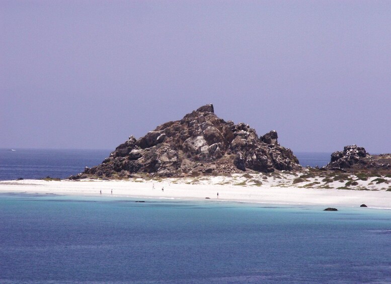 Damas or Chañaral island: Whales & Humboldt Penguin Reserve