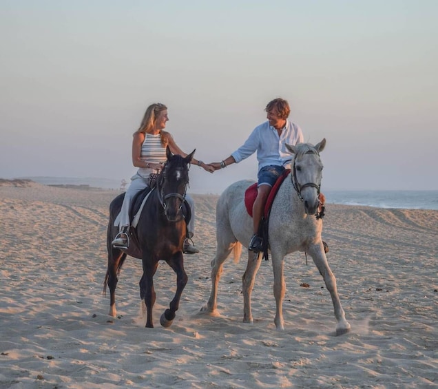 Picture 5 for Activity From Evora: Horseback riding on comporta beach