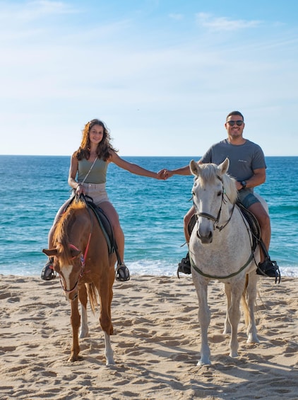 Picture 4 for Activity From Evora: Horseback riding on comporta beach