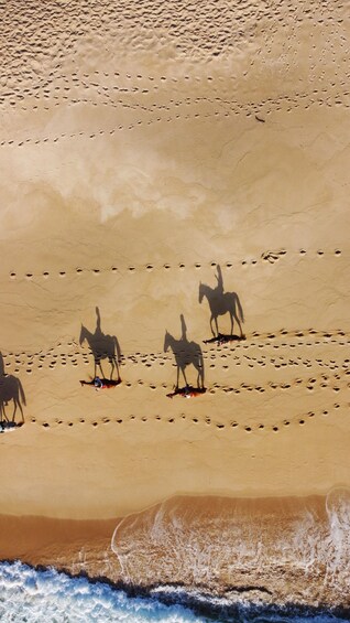 Picture 8 for Activity From Evora: Horseback riding on comporta beach