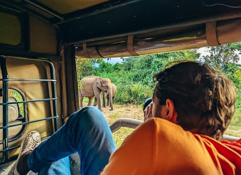 Picture 2 for Activity Colombo: All Inclusive Sigiriya & National Park Day Safari