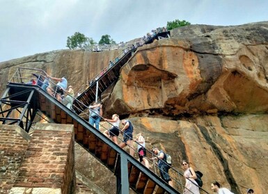 Colombo: All-inclusive Sigiriya & National Park Day Safari