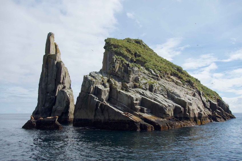 Picture 3 for Activity From Seward: Kenai Fjords National Park Cruise with Lunch