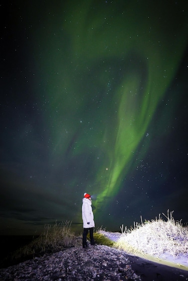 Picture 8 for Activity Reykjavik: Northern Lights Hunting and Professional Photos