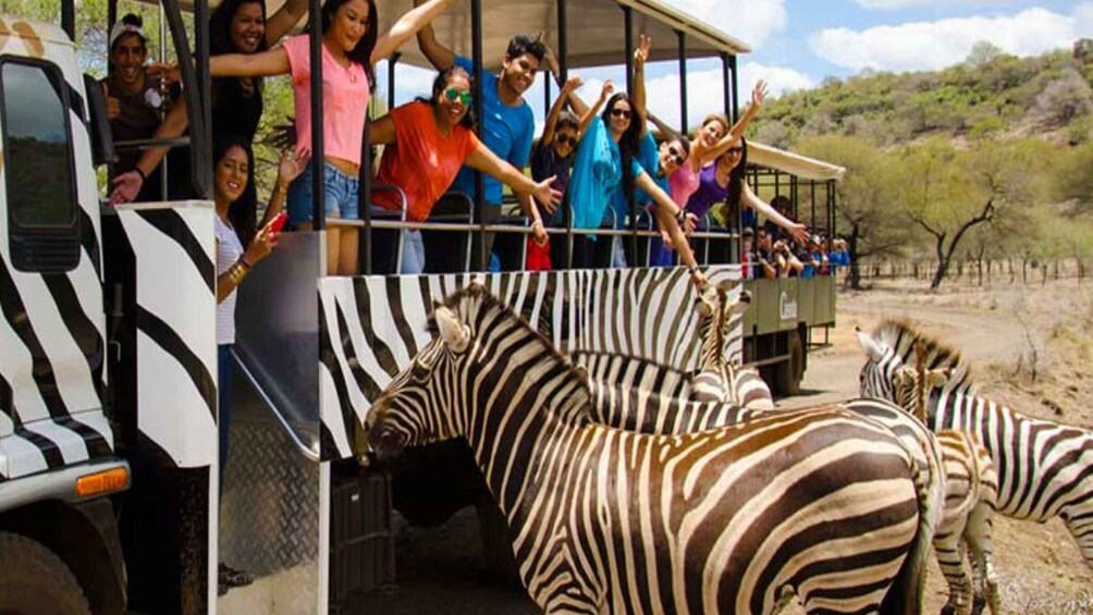 Picture 4 for Activity Mauritius: Casela Nature Parks Entrance Ticket with Transfer