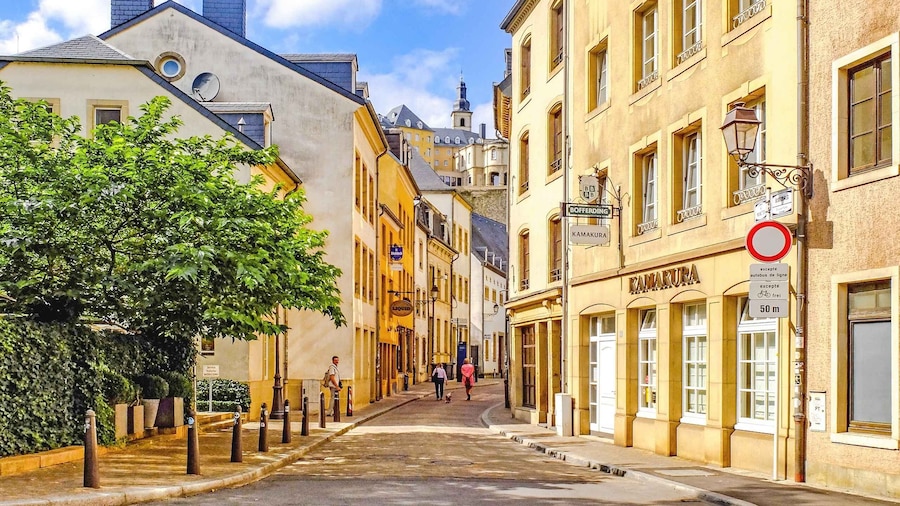 Surprise Tour of Luxembourg with a Local