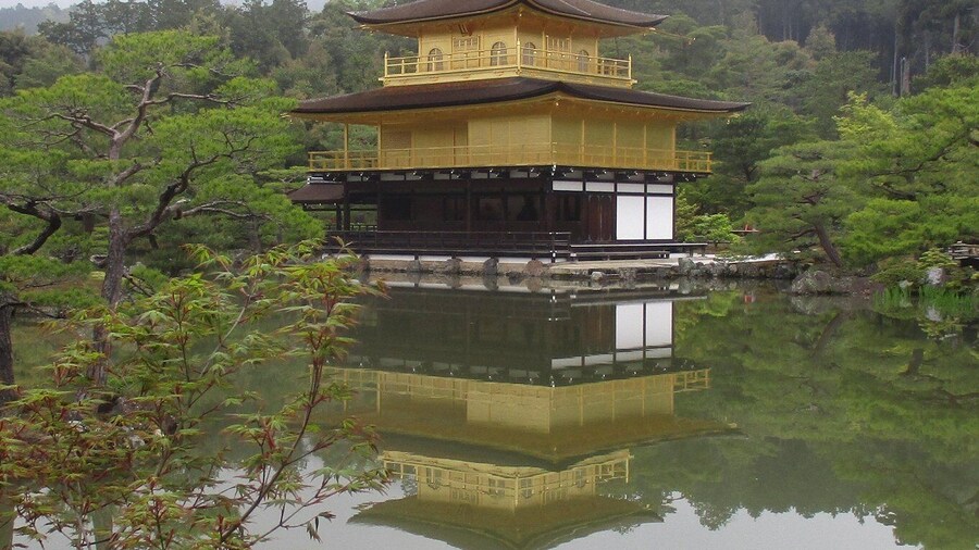 Kyoto: Pagoda d'oro e Foresta di bambù