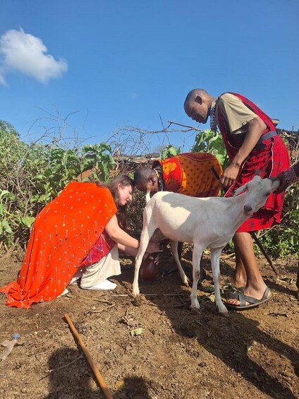 Bisil: Traditional maasai village tour