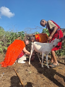 Bisil: Traditional maasai village tour