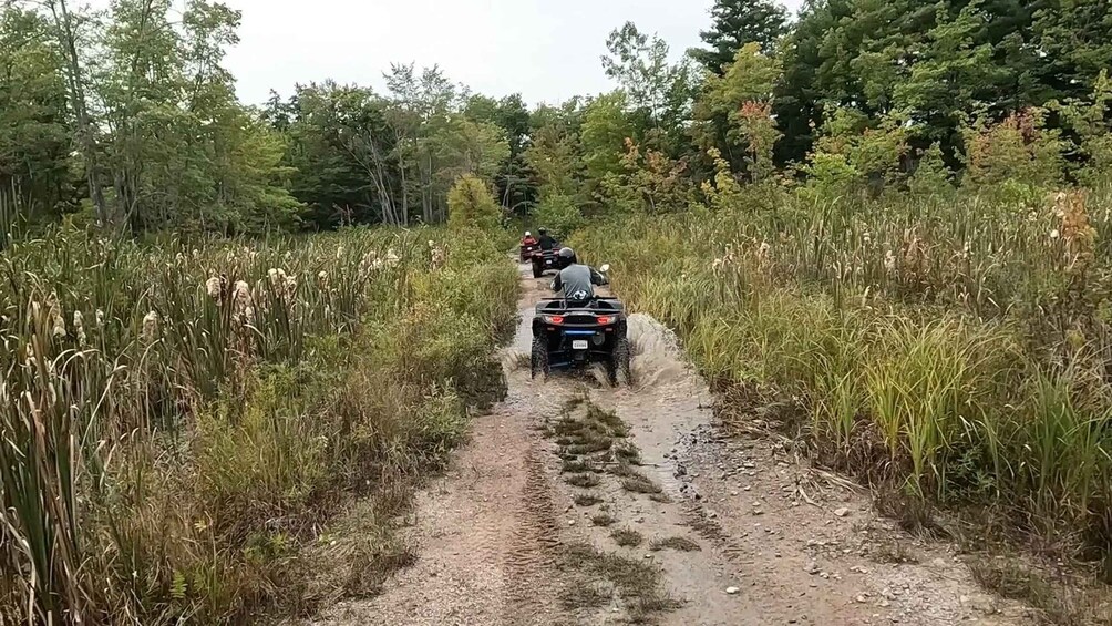 Picture 4 for Activity 90 Mintue Guided ATV Adventure Tours