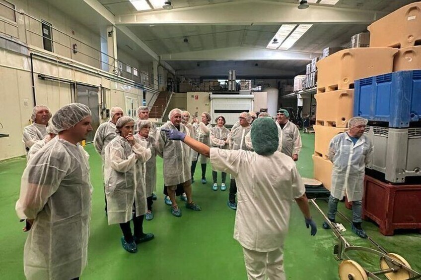 Visit and Gastronomic Experience of the Santoña Anchovy Factory