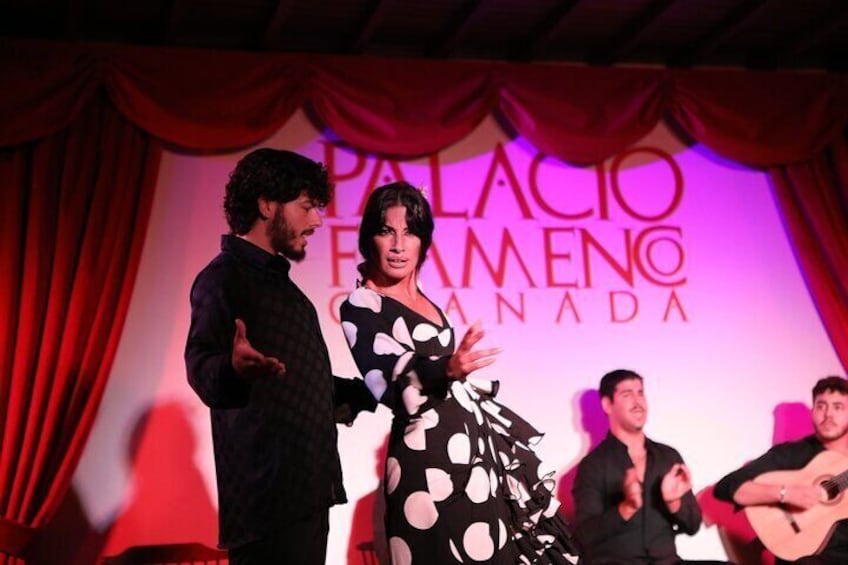 Experience Art at Palacio Flamenco Granada: with 5 Artists