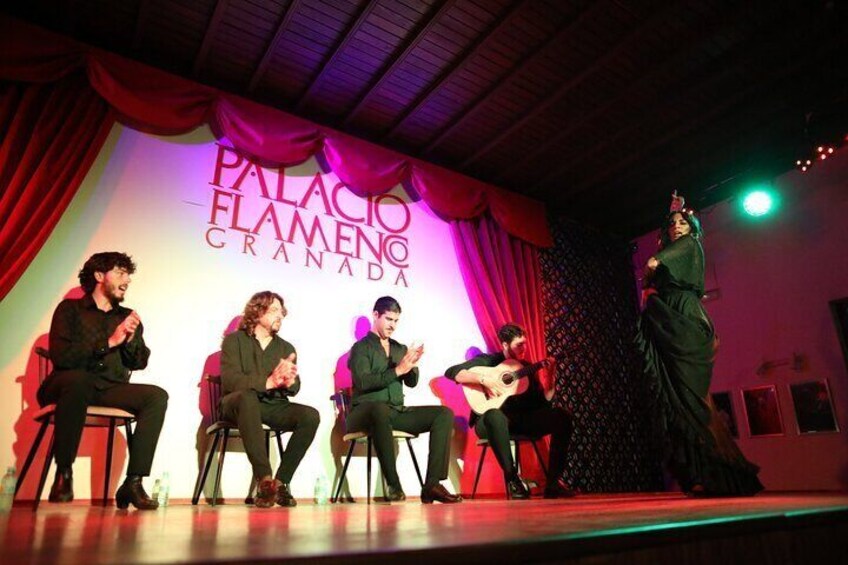 Experience Art at Palacio Flamenco Granada: with 5 Artists