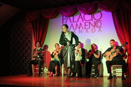 Experience Art at Palacio Flamenco Granada: with 5 Artists