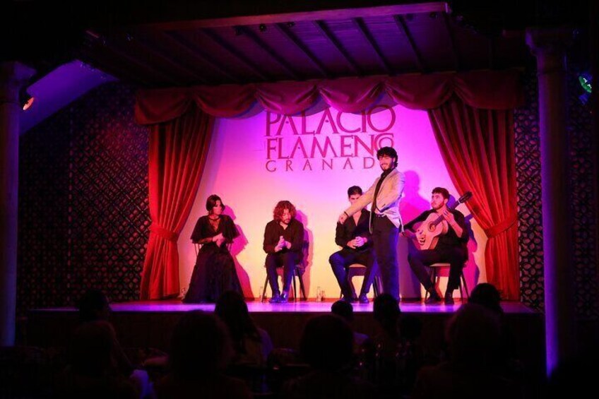 Experience Art at Palacio Flamenco Granada: with 5 Artists