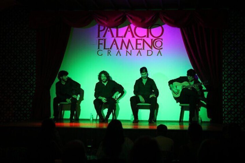 Experience Art at Palacio Flamenco Granada: with 5 Artists