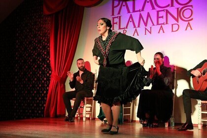 Experience Art at Palacio Flamenco Granada: with 5 Artists