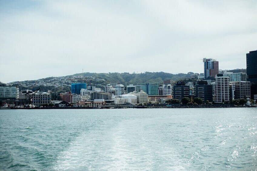 Return Ferry Ticket from Queens Wharf, Wellington to Days Bay