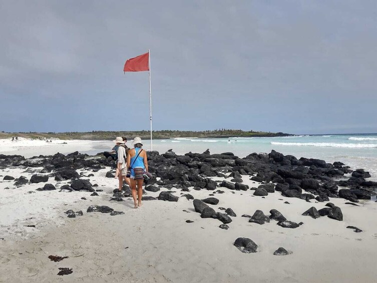 Private and Personalize Charles Darwin Station & Tortuga Bay Beach Tour