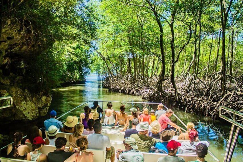 PRIVATE: 3in1 - Los Haitises N.P. + Y. Waterfall + Mount. Redonda