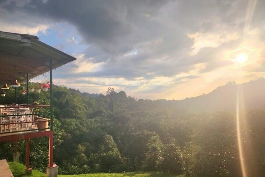Private Tour of Salento Cocora Valley and Finca Luguer Coffee