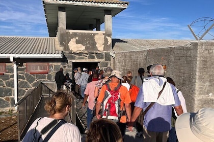 Halvdagstur på Robben Island med anpassningsbara alternativ