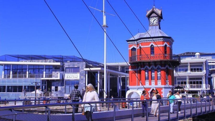 "Half-Day Robben Island Tour with Customizable Options Included