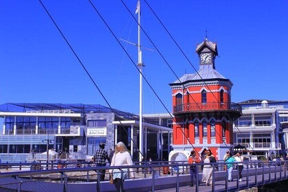 "Tour di mezza giornata a Robben Island con opzioni personalizzabili inclus...