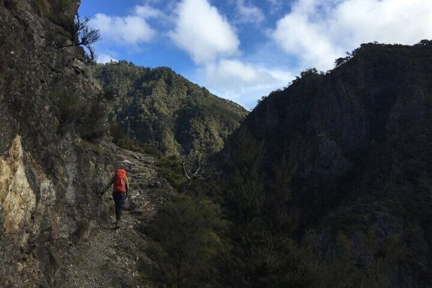 Private Hawkes Bay Geothermal Hot Pools Hike