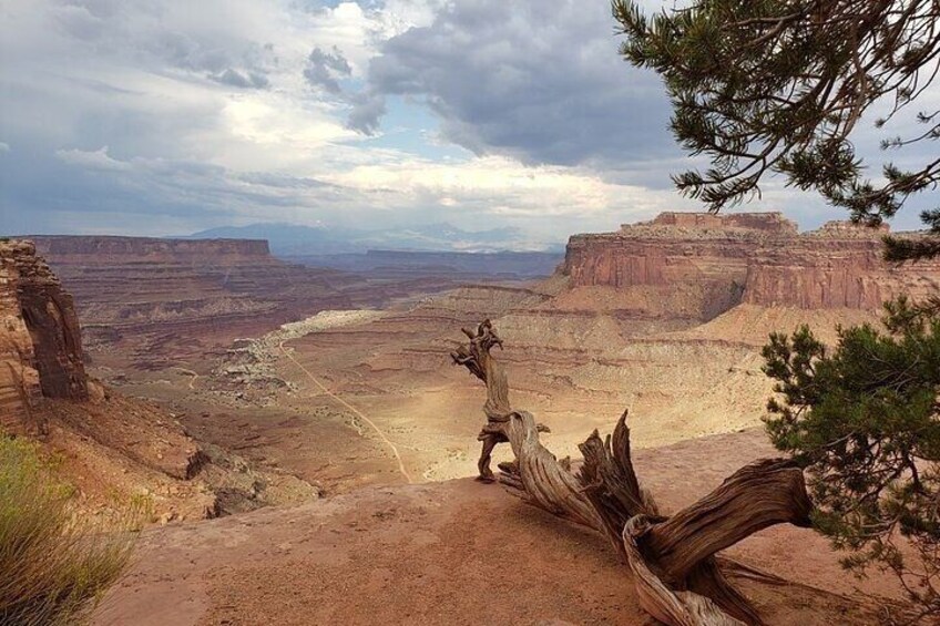 Day Tour Arches and Canyonlands National Park in Utah