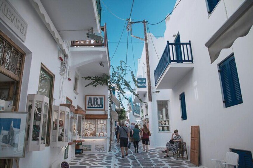 Mykonos Island and Greek Food Tasting Tour 