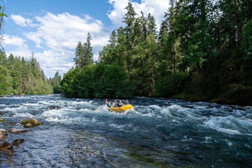 Whitewater Rafting on The McKenzie River