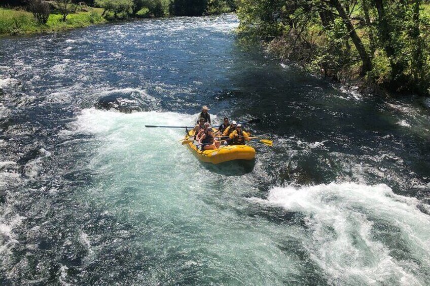 Whitewater Rafting on The McKenzie River