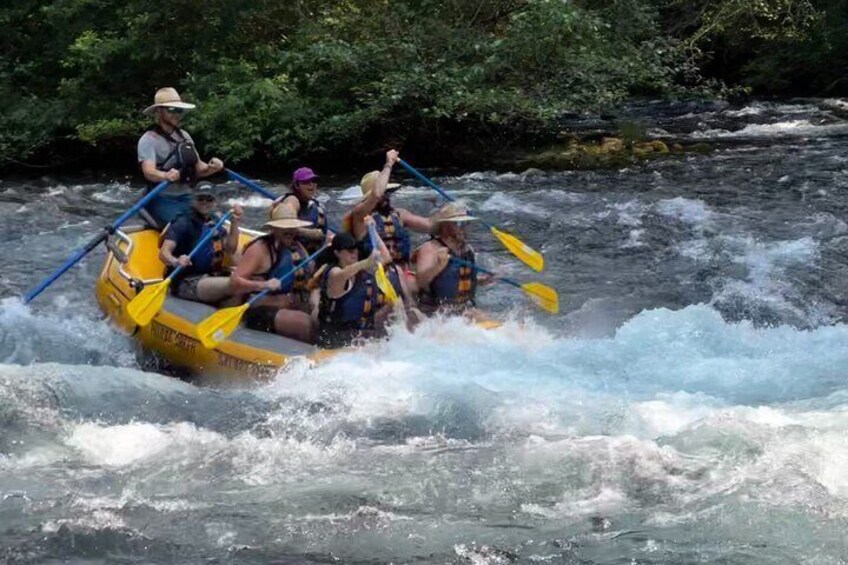 Whitewater Rafting on The McKenzie River