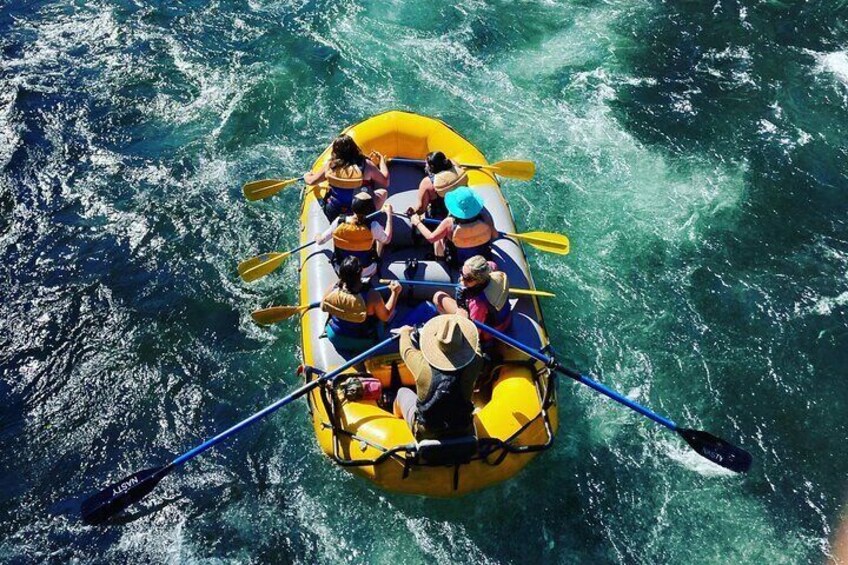 Whitewater Rafting on The McKenzie River