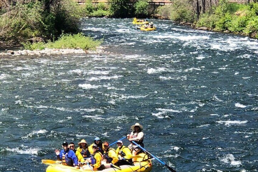 Whitewater Rafting on The McKenzie River