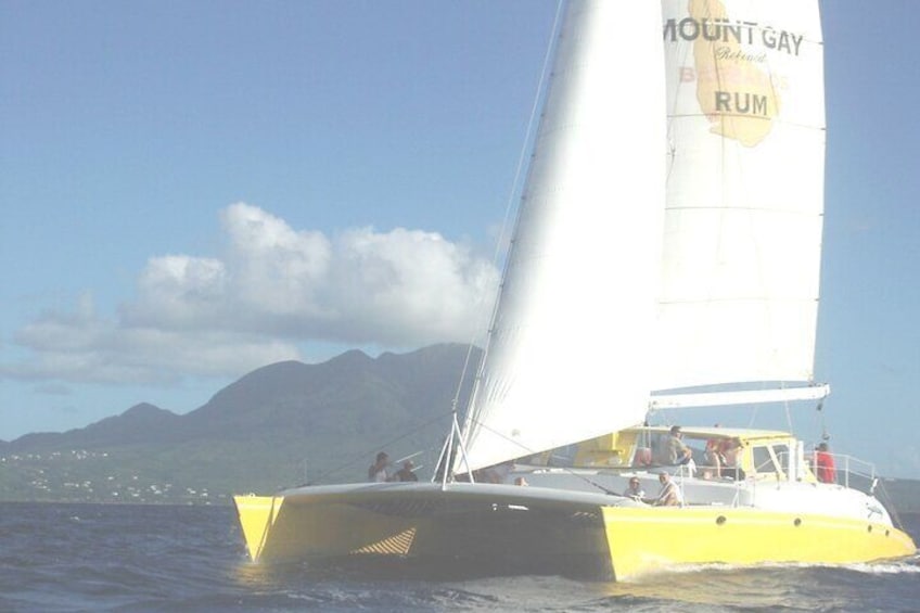 Catamaran Sunset and Cocktail Cruise