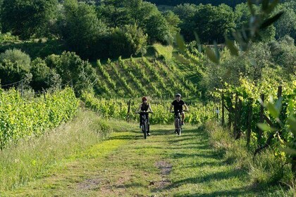 Montecarlo E-Bike One Day Tour with Lunch and Tasting