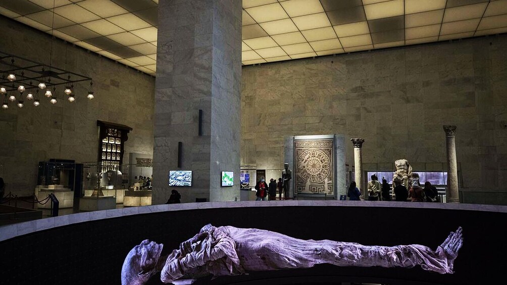 Half Day Tour to The National Museum of Egyptian Civilization
