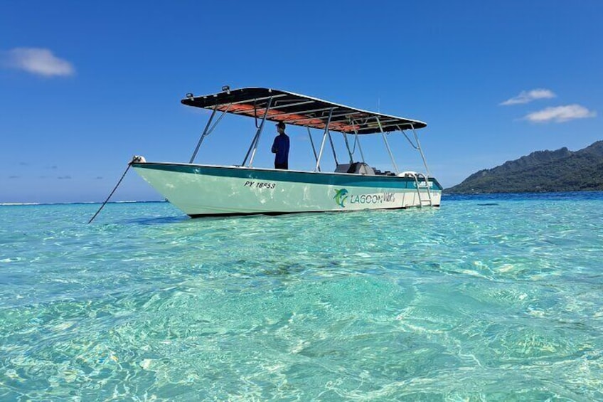 Our boat, 28 feet, 250 HP, spacious and shaded