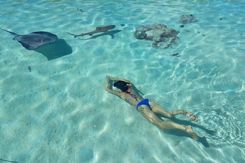 Snorkeling with stingrays and black tip sharks on a sandbar where you will have your feet