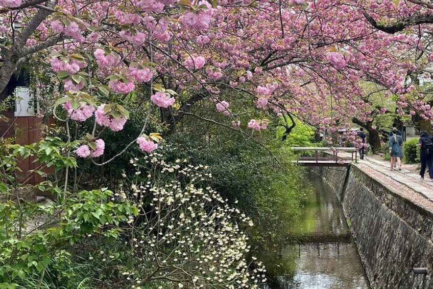 Kyoto Silver Pavilion Private 4-Hour Guided Tour