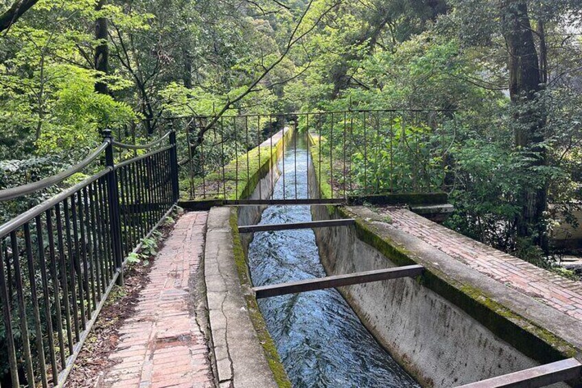 Kyoto Silver Pavilion Private 4-Hour Guided Tour